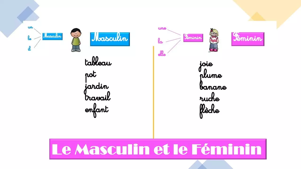 Français CP Masculin et Féminin leçon VideoTutoriels