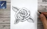 Rose dessinée au crayon de papier | Tutoriel dessin | leçon pour débutants