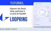 Tutoriel : Utiliser Loopring (Déposer des fonds, Swap, Fournir de la liquidité) x EvidenZ $BCDT