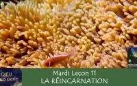 Leçon 11 : Mardi 6 Décembre 2022, La réincarnation
