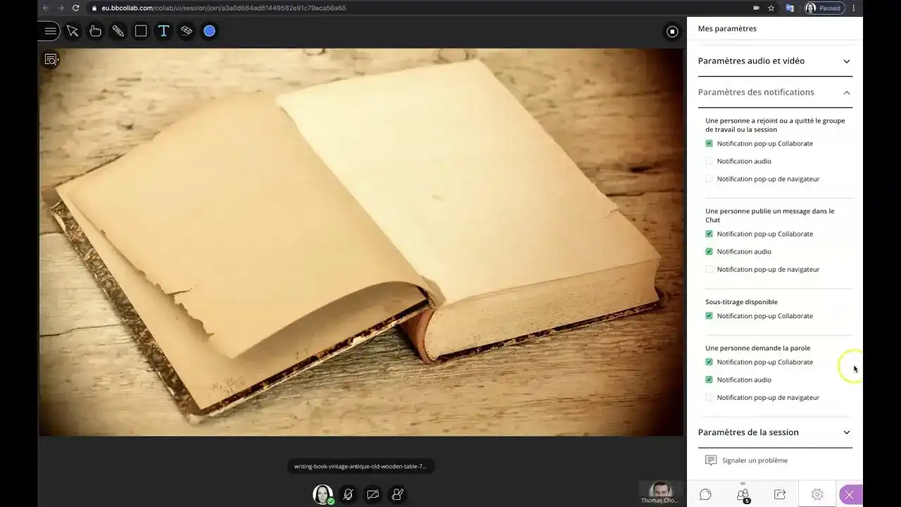 Tutoriel Blackboard Collaborate (Français) VideoTutoriels